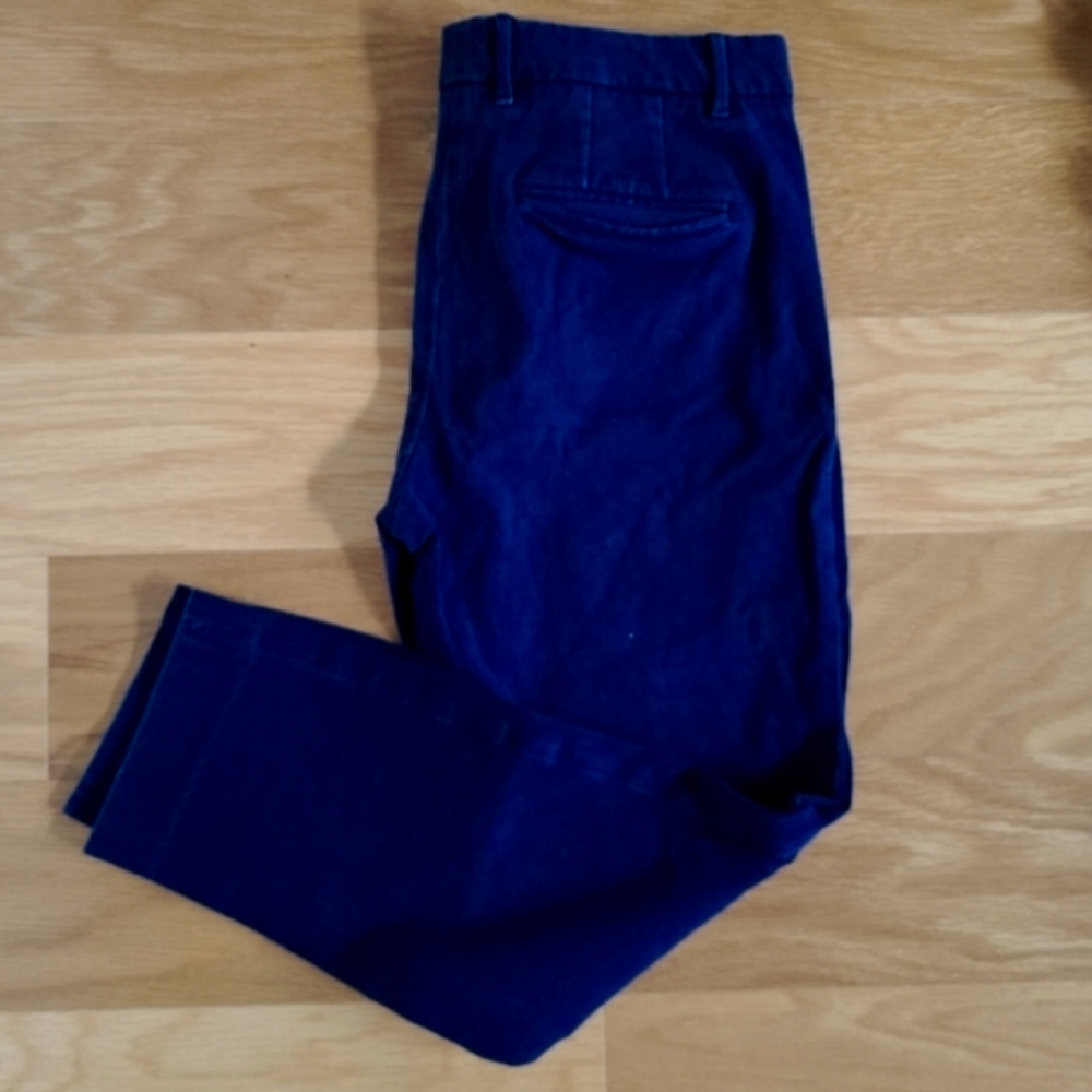 Navy Slim Cropped Pants